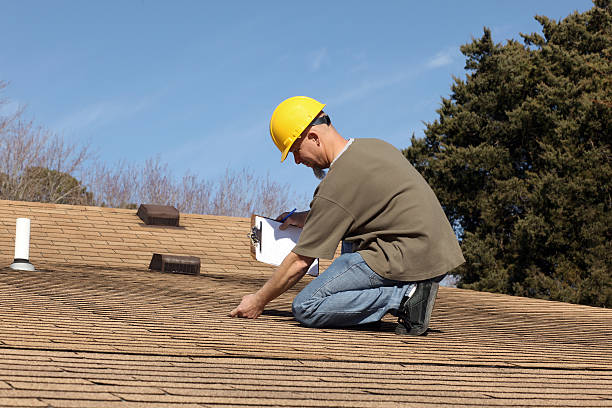 Best Roof Moss and Algae Removal  in Throop, PA